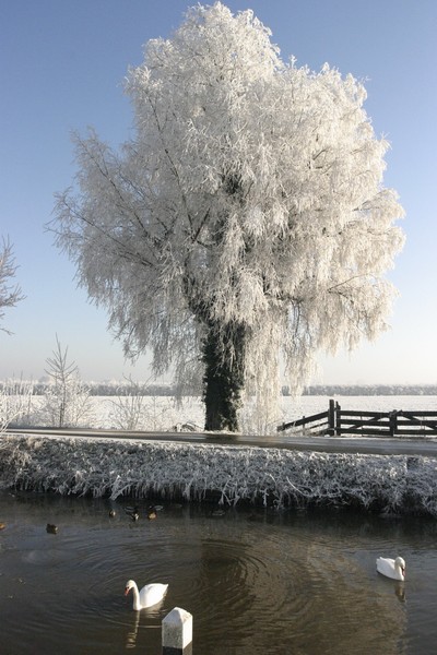 n_Linschoten. 29.jpg